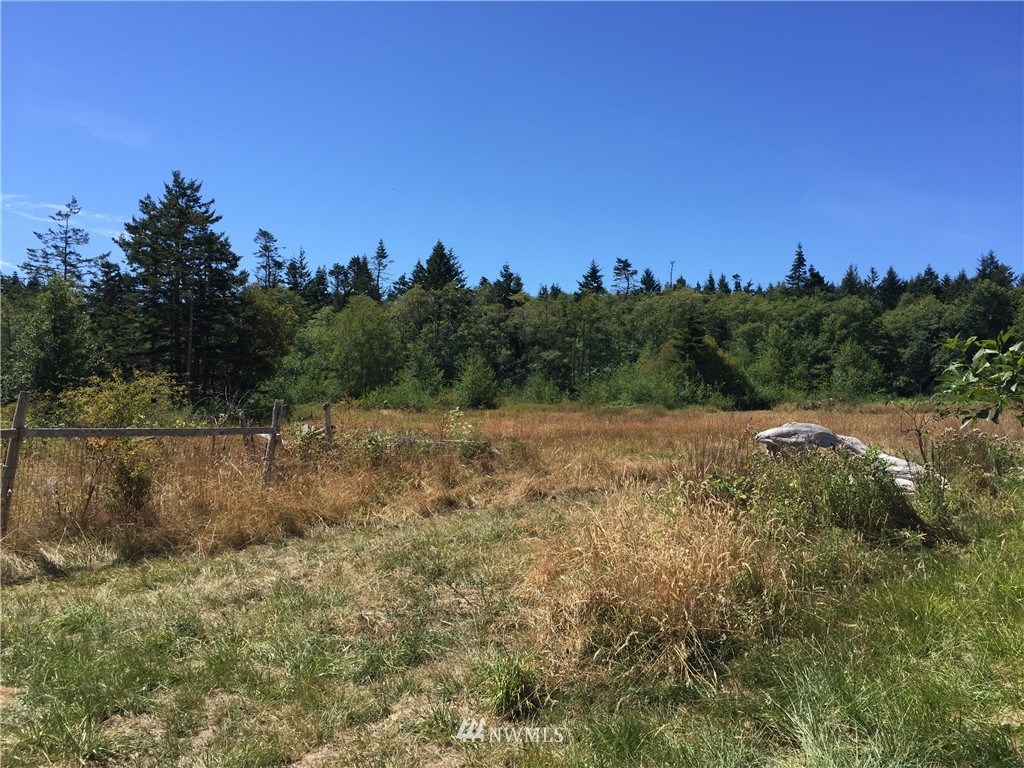 3146 Mud Bay Road Lopez Island, WA 98261 - Photo 3 of 6 Gallery Image 3