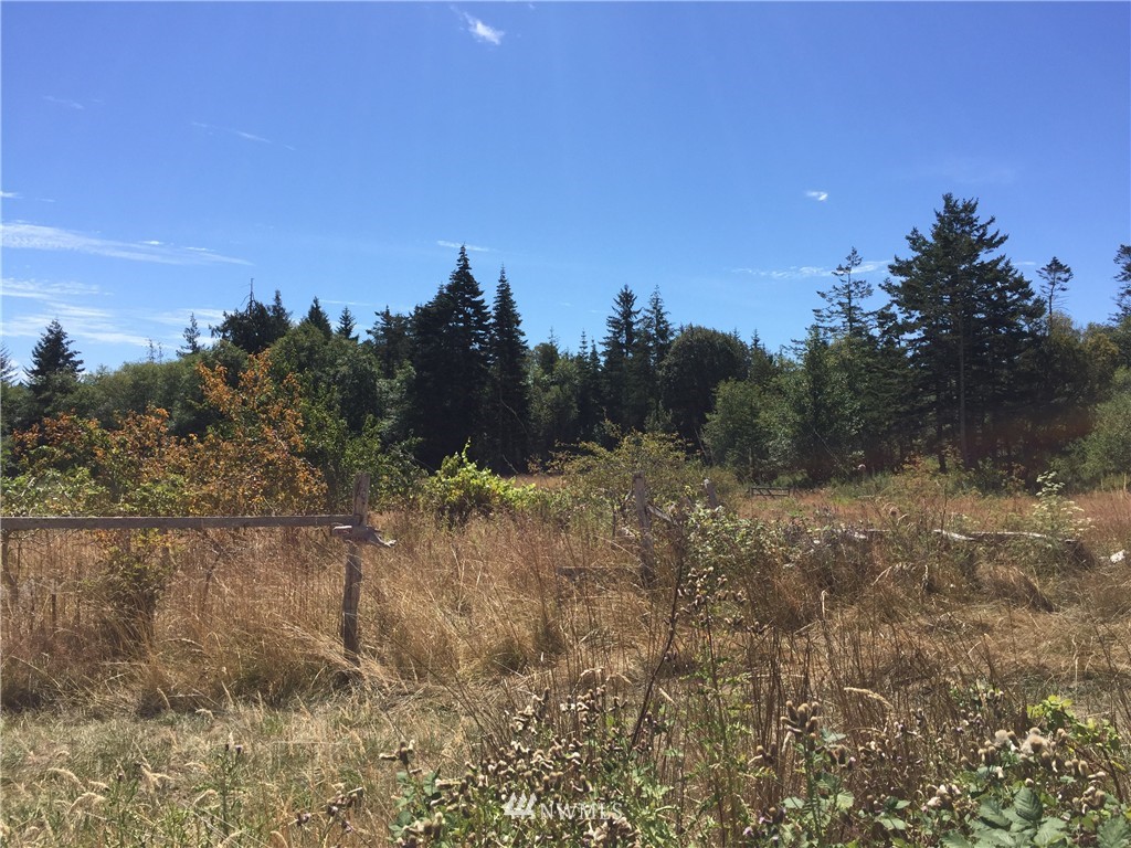 3146 Mud Bay Road Lopez Island, WA 98261 - Photo 4 of 6 Gallery Image 4
