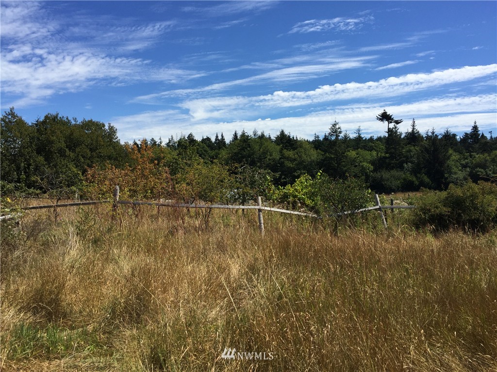 3146 Mud Bay Road Lopez Island, WA 98261 - Photo 5 of 6 Gallery Image 5