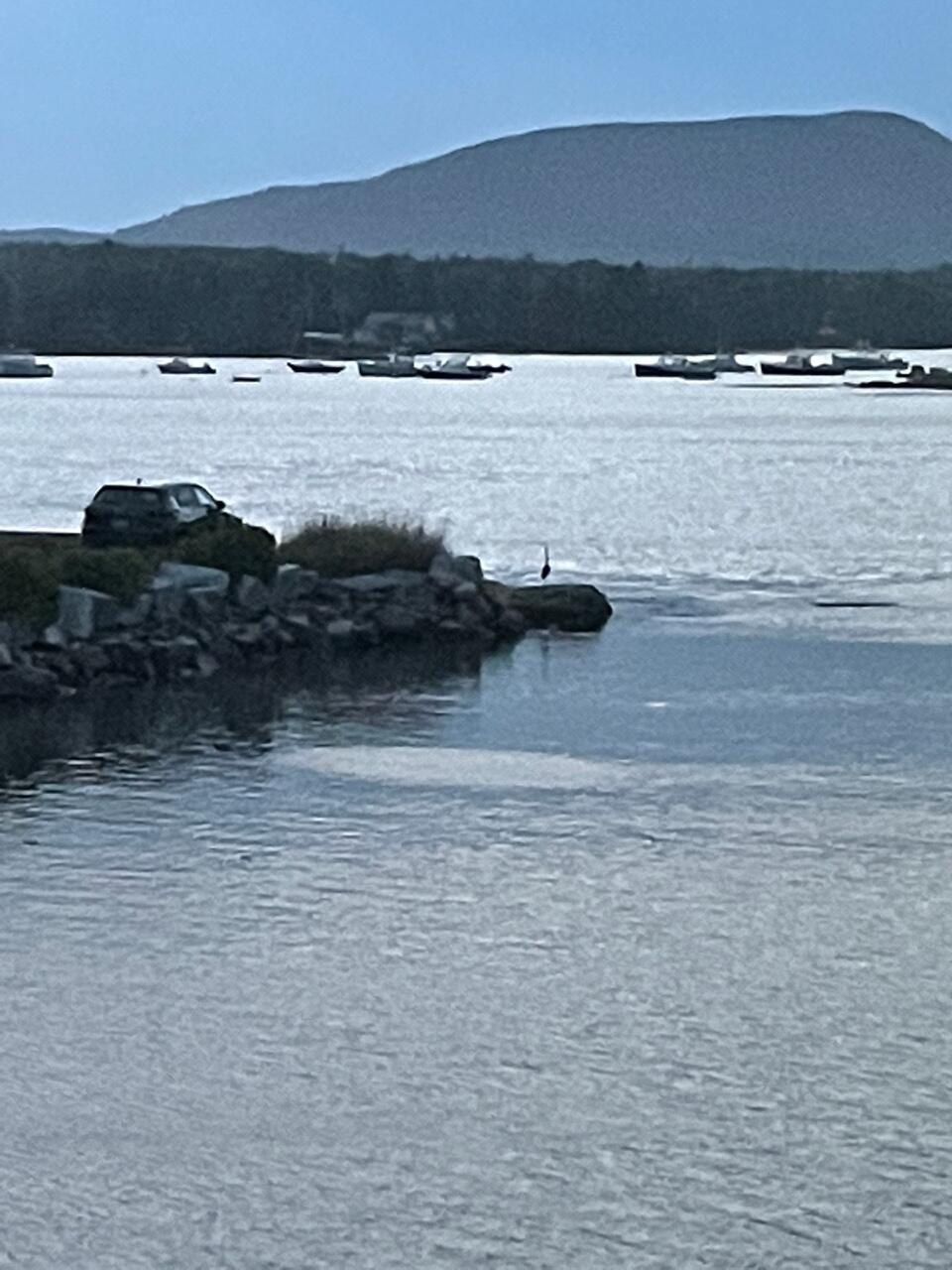 27 Shore Road Southwest Harbor, ME 04679 - Photo 22 of 34 Bass Harbor and mountain view