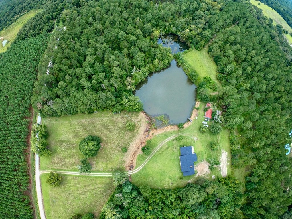 7312 Hall Webb Road Hahira, GA 31632 - Photo 3 of 35 Gallery Image 3