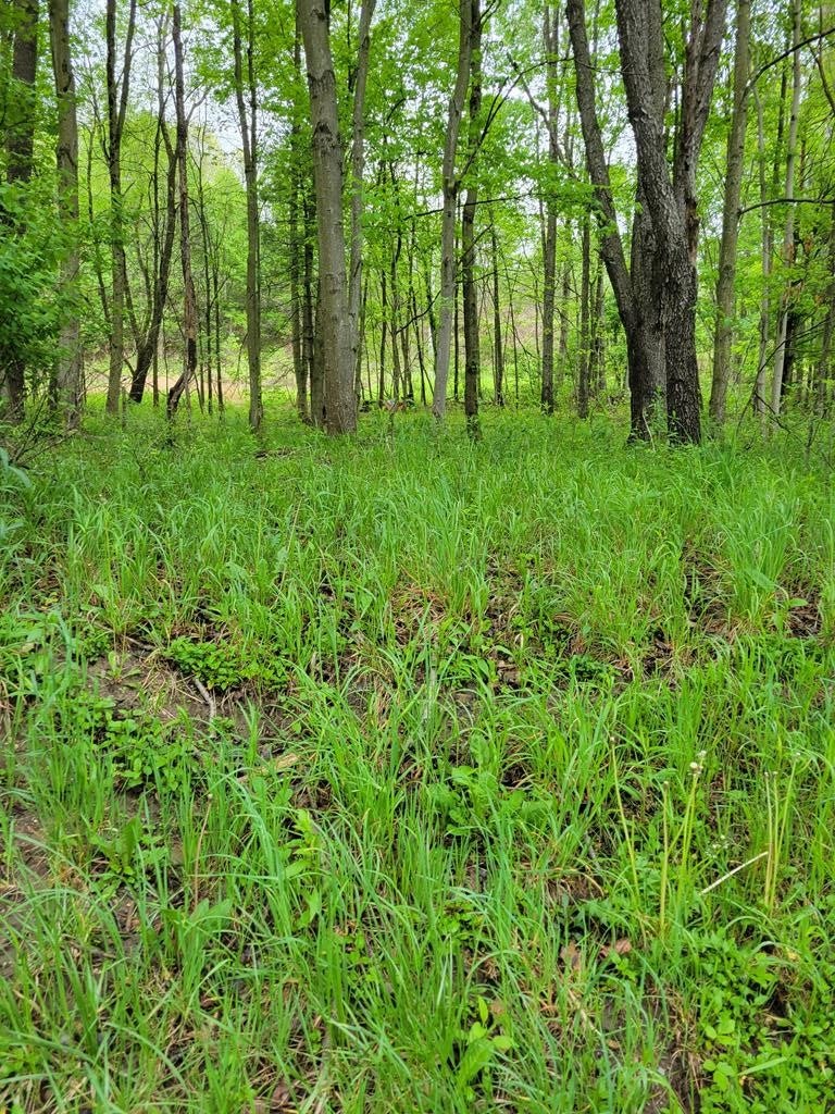 0 Rt 68 Sligo, PA 16255 - Photo 1 of 2 Main View