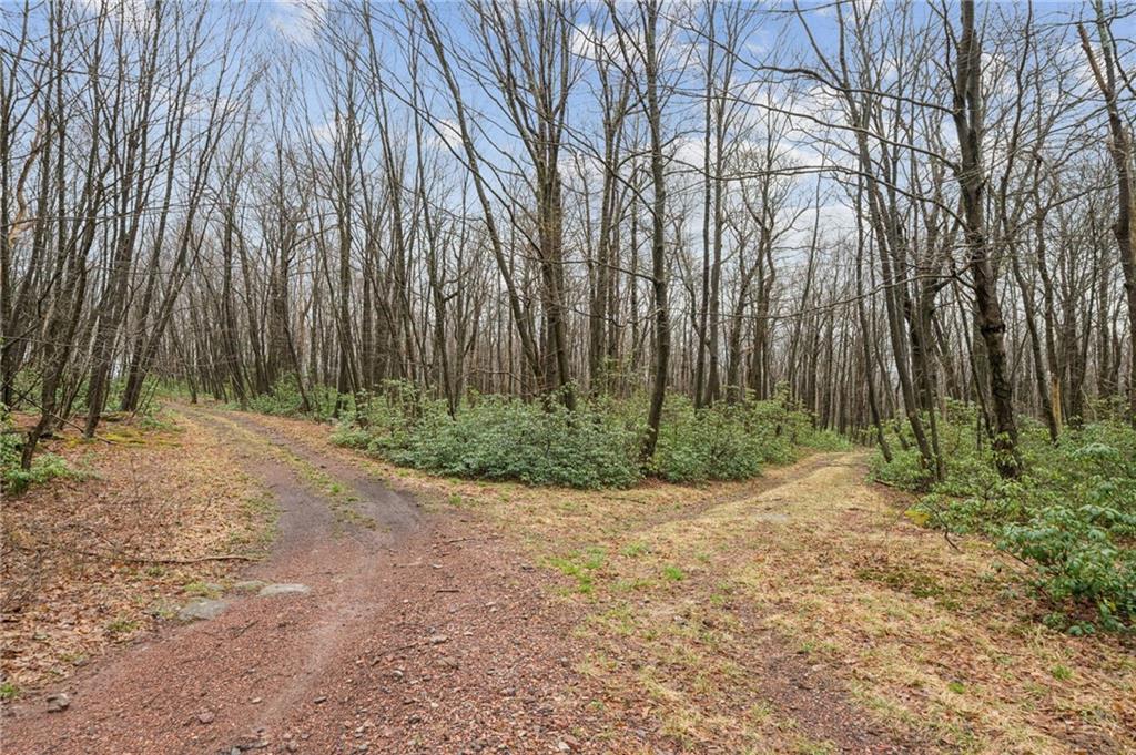 Lot 586 Zermatt Road Jenners, PA 15546 - Photo 3 of 10 a view of backyard with green space