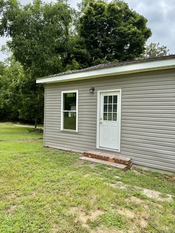 a view of a backyard with plants and large tree