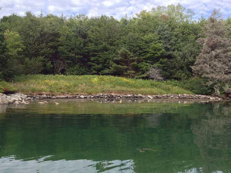 0 S Road Walpole, ME 04573 - Photo 11 of 12 Land.
