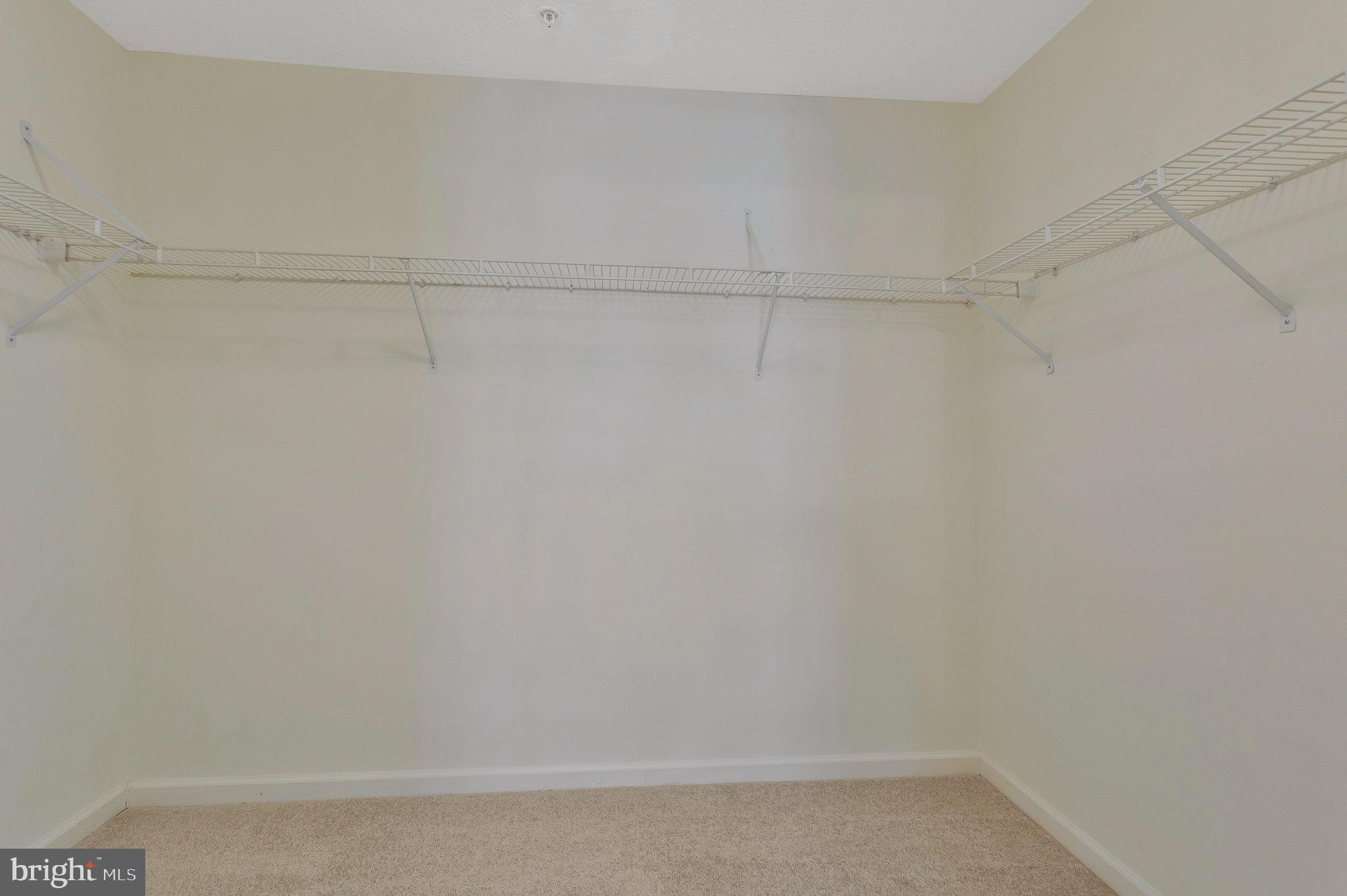691 Winding Stream Way, Unit 104 Odenton, MD 21113 - Photo 18 of 33 Massive Walk In Closet
