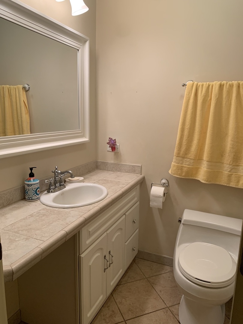 501 Crestview Drive Fox River Grove, IL 60021 - Photo 16 of 23 a bathroom with a sink toilet and mirror