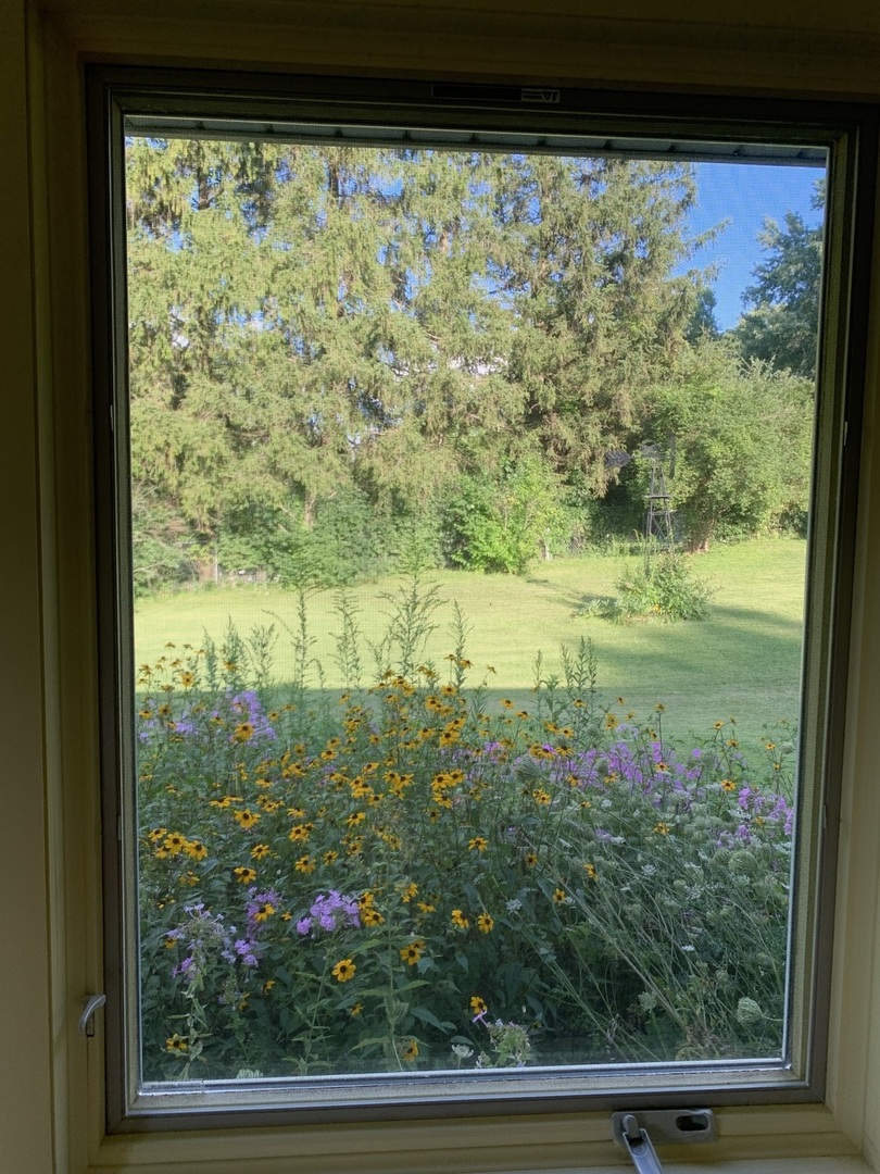 501 Crestview Drive Fox River Grove, IL 60021 - Photo 23 of 23 a view of a from a window