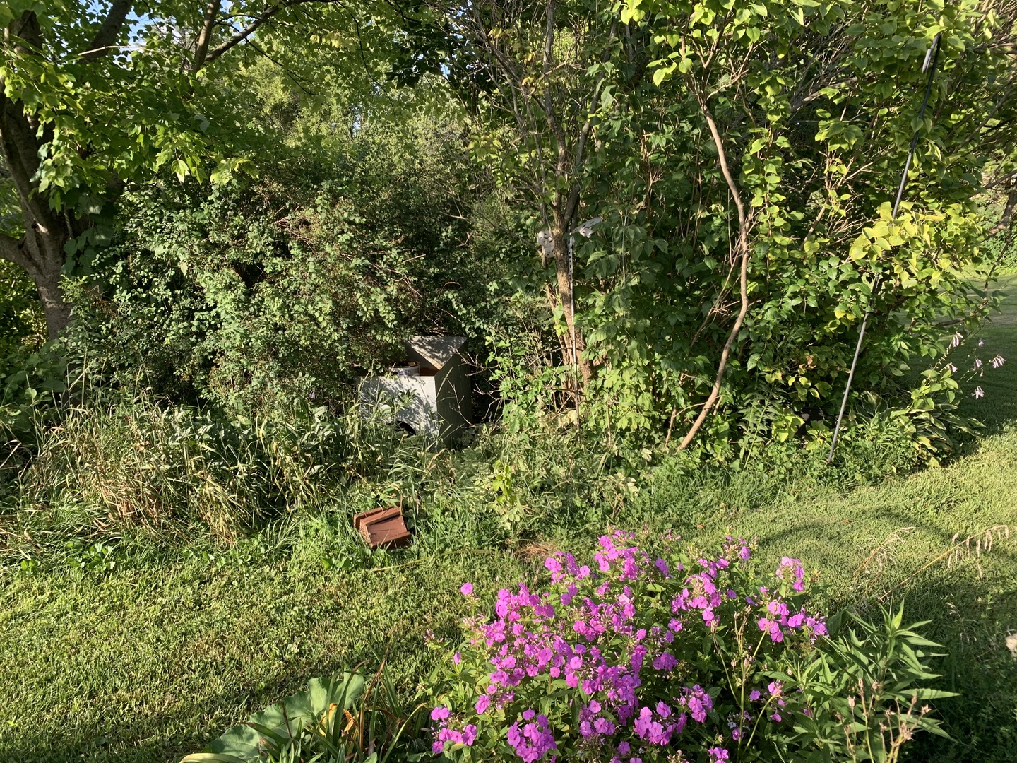 501 Crestview Drive Fox River Grove, IL 60021 - Photo 4 of 23 a view of a flower in a yard