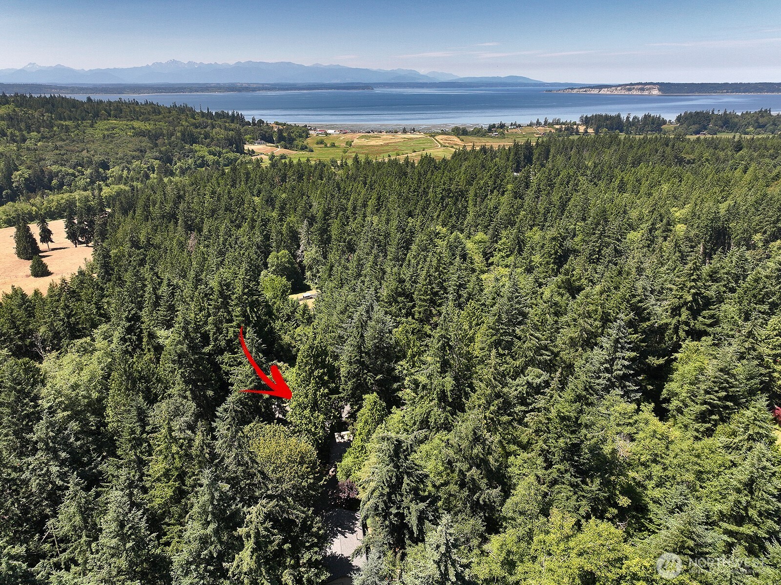 7391 Tauscher Road Clinton, WA 98236 - Photo 39 of 39