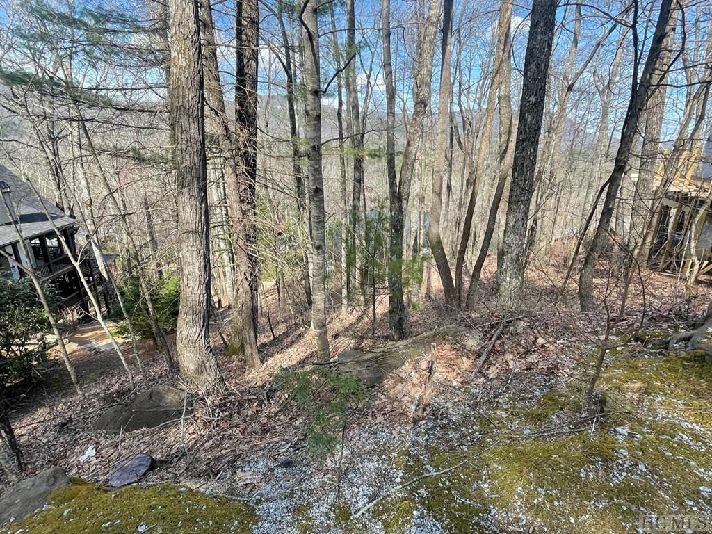 Lot 125 Deer Run Road Sapphire, NC 28774 - Photo 3 of 19 Gallery Image 3