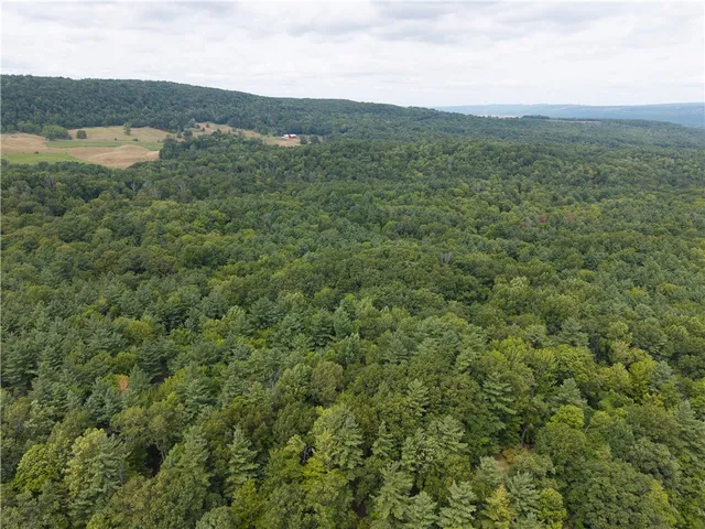 $219,900 | 0 Poags Hole Road, Dansville, NY 14437