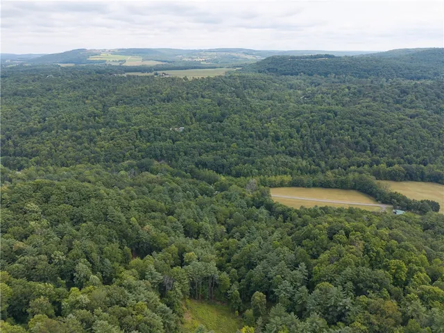$219,900 | 0 Poags Hole Road, Dansville, NY 14437