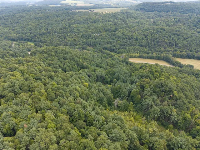 $219,900 | 0 Poags Hole Road, Dansville, NY 14437