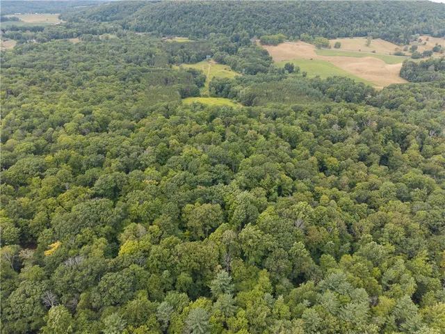 $219,900 | 0 Poags Hole Road, Dansville, NY 14437