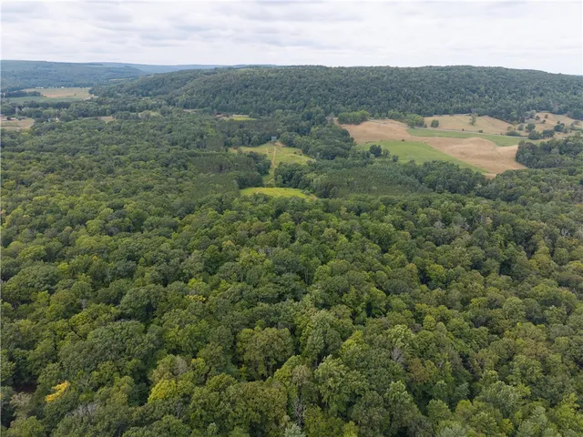 $219,900 | 0 Poags Hole Road, Dansville, NY 14437