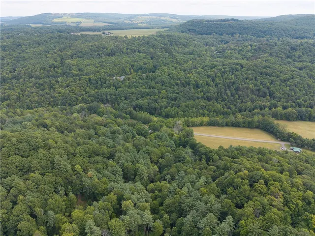 $219,900 | 0 Poags Hole Road, Dansville, NY 14437
