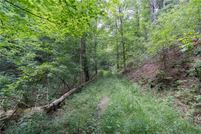 $219,900 | 0 Poags Hole Road, Dansville, NY 14437