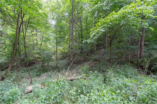 $219,900 | 0 Poags Hole Road, Dansville, NY 14437