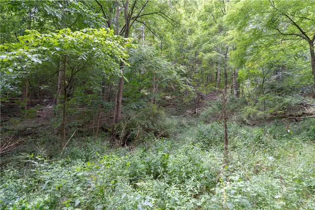 $219,900 | 0 Poags Hole Road, Dansville, NY 14437