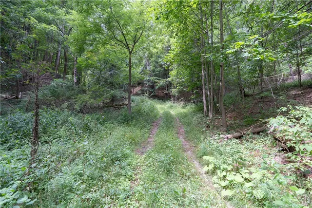 $219,900 | 0 Poags Hole Road, Dansville, NY 14437
