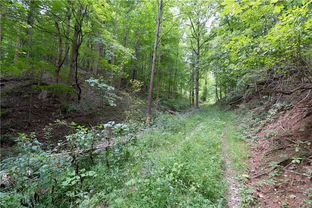 $219,900 | 0 Poags Hole Road, Dansville, NY 14437