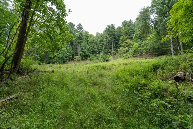 $219,900 | 0 Poags Hole Road, Dansville, NY 14437