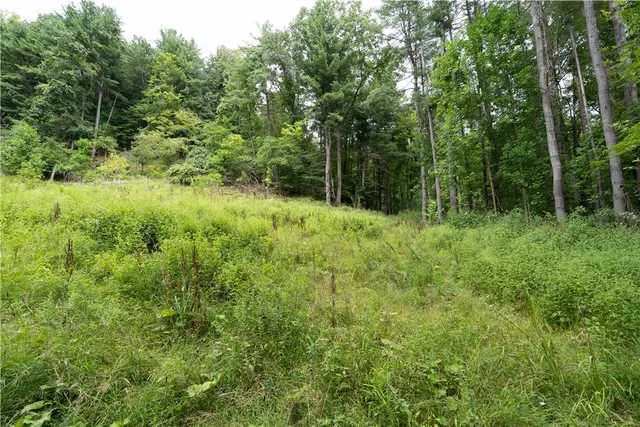 $219,900 | 0 Poags Hole Road, Dansville, NY 14437