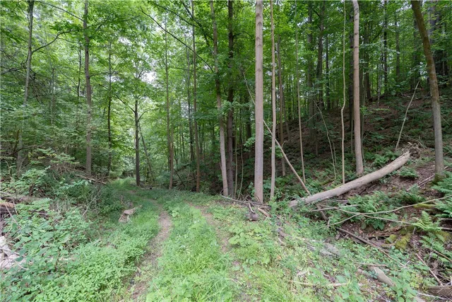$219,900 | 0 Poags Hole Road, Dansville, NY 14437