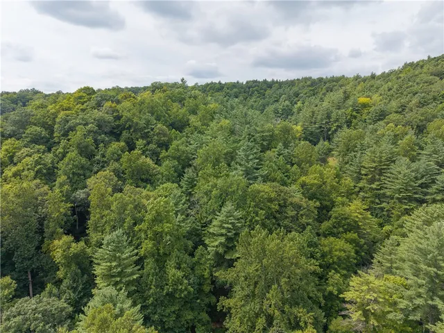 $219,900 | 0 Poags Hole Road, Dansville, NY 14437