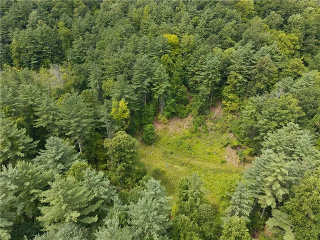 $219,900 | 0 Poags Hole Road, Dansville, NY 14437