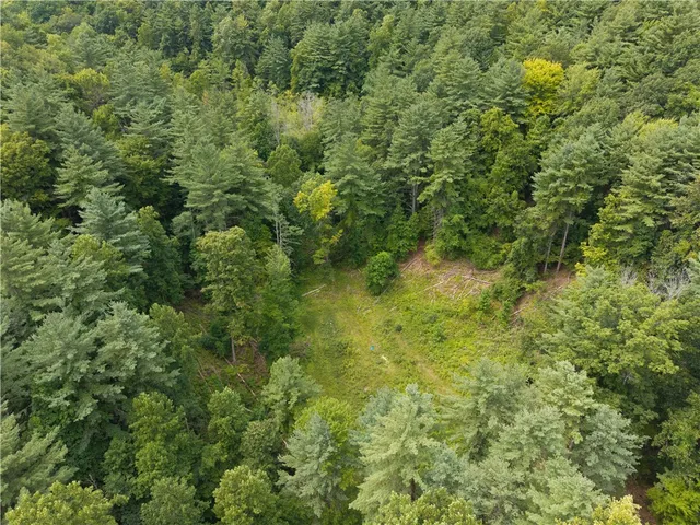 $219,900 | 0 Poags Hole Road, Dansville, NY 14437