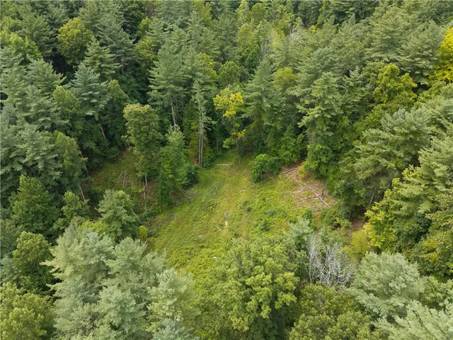 $219,900 | 0 Poags Hole Road, Dansville, NY 14437