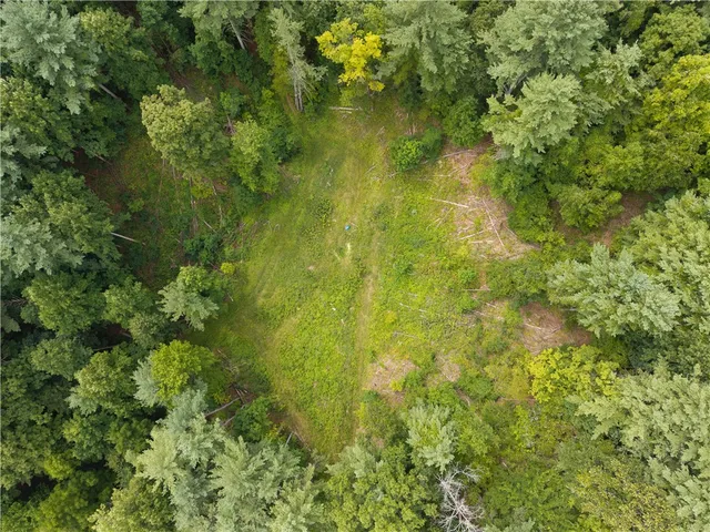 $219,900 | 0 Poags Hole Road, Dansville, NY 14437