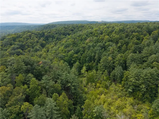 $219,900 | 0 Poags Hole Road, Dansville, NY 14437