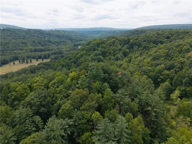 $219,900 | 0 Poags Hole Road, Dansville, NY 14437