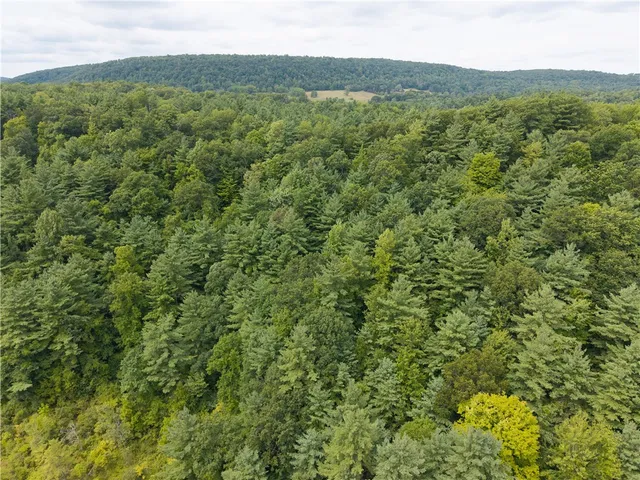 $219,900 | 0 Poags Hole Road, Dansville, NY 14437