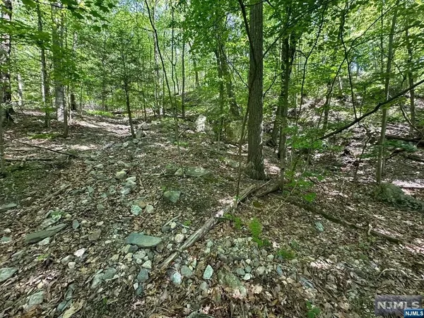 $100,000 | 0 Gladstone Road, West Milford, NJ 07421