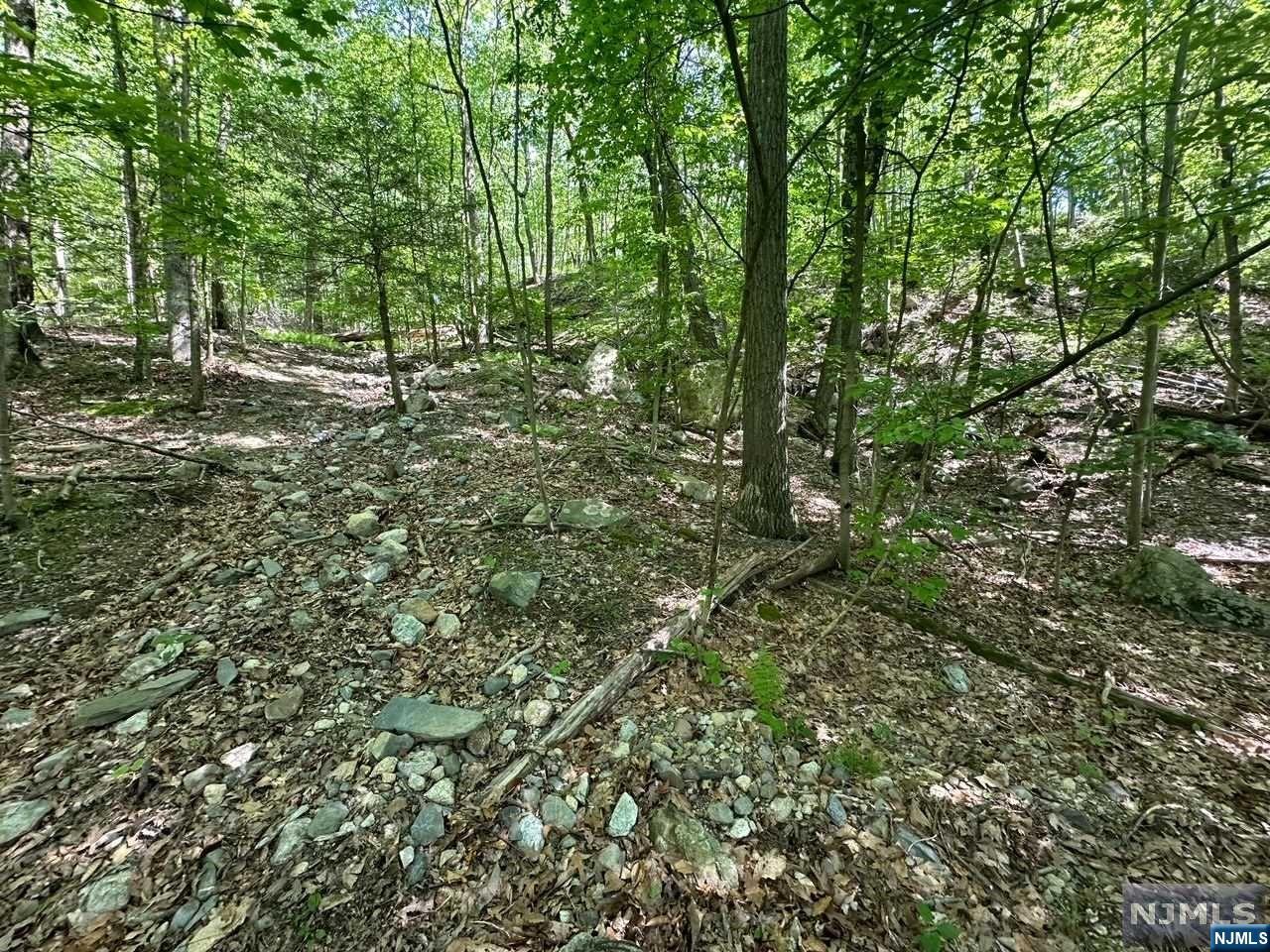 0 Gladstone Road West Milford, NJ 07421 - Photo 21 of 26