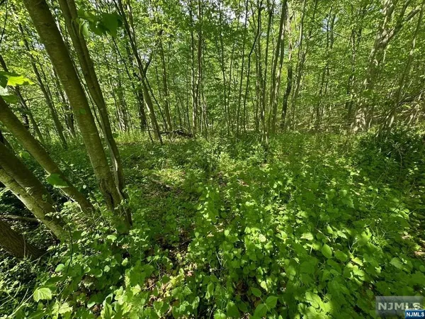 $100,000 | 0 Gladstone Road, West Milford, NJ 07421