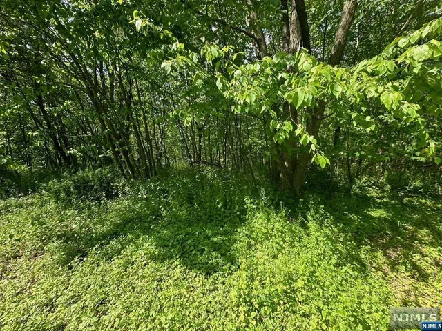 $100,000 | 0 Gladstone Road, West Milford, NJ 07421