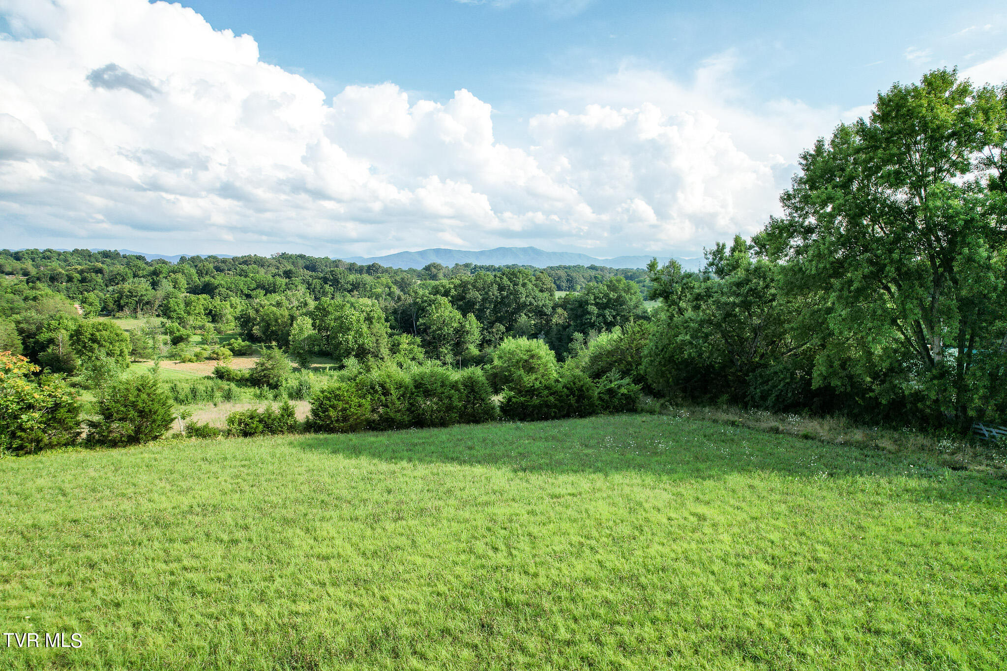 760 Johnson Road Greeneville, TN 37743 - Photo 24 of 68 DJI_0627