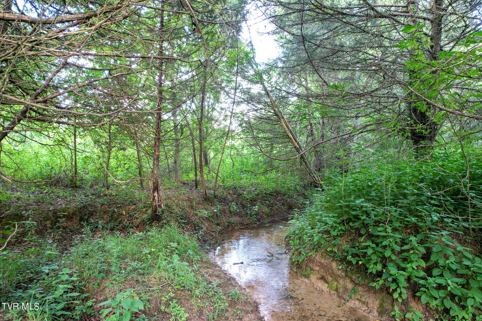 760 Johnson Road Greeneville, TN 37743 - Photo 29 of 68 DJI_0648