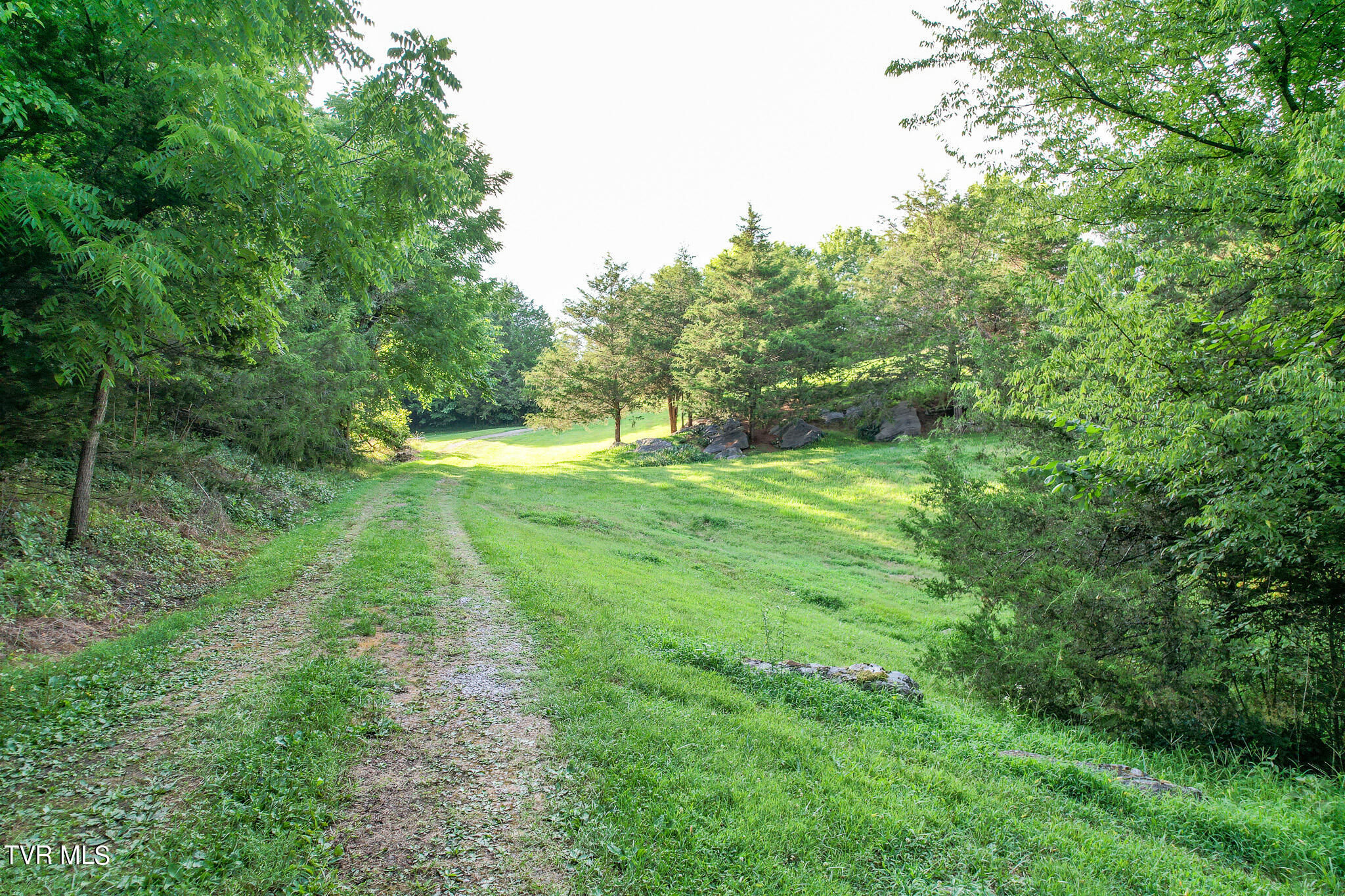 760 Johnson Road Greeneville, TN 37743 - Photo 30 of 68 DJI_0653