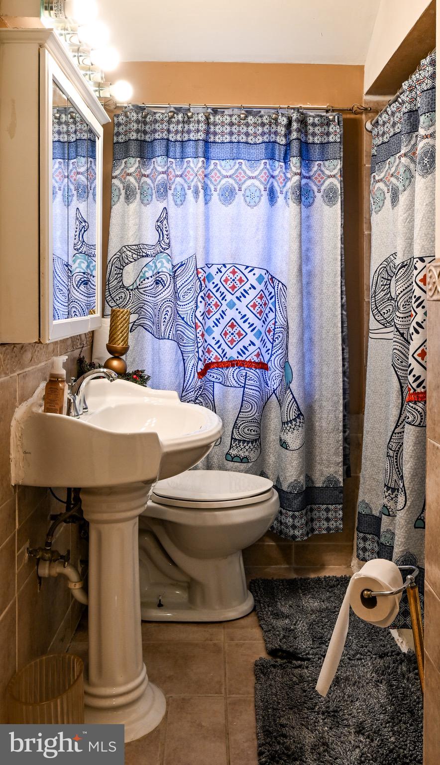 1025 Witherspoon Road Baltimore, MD 21212 - Photo 17 of 31 Main bathroom