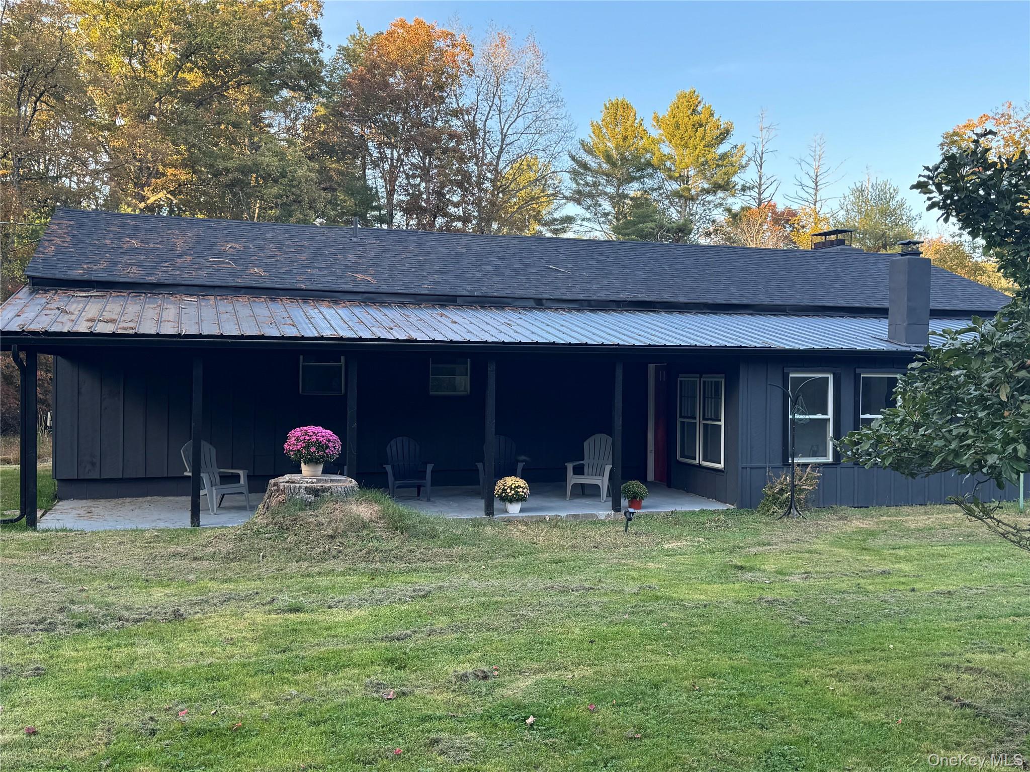 273 Blind Pond Road Narrowsburg, NY 12764 - Photo 1 of 30 Front of house featuring a patio area, board and batten siding, a yard, a metal roof, and a chimney
