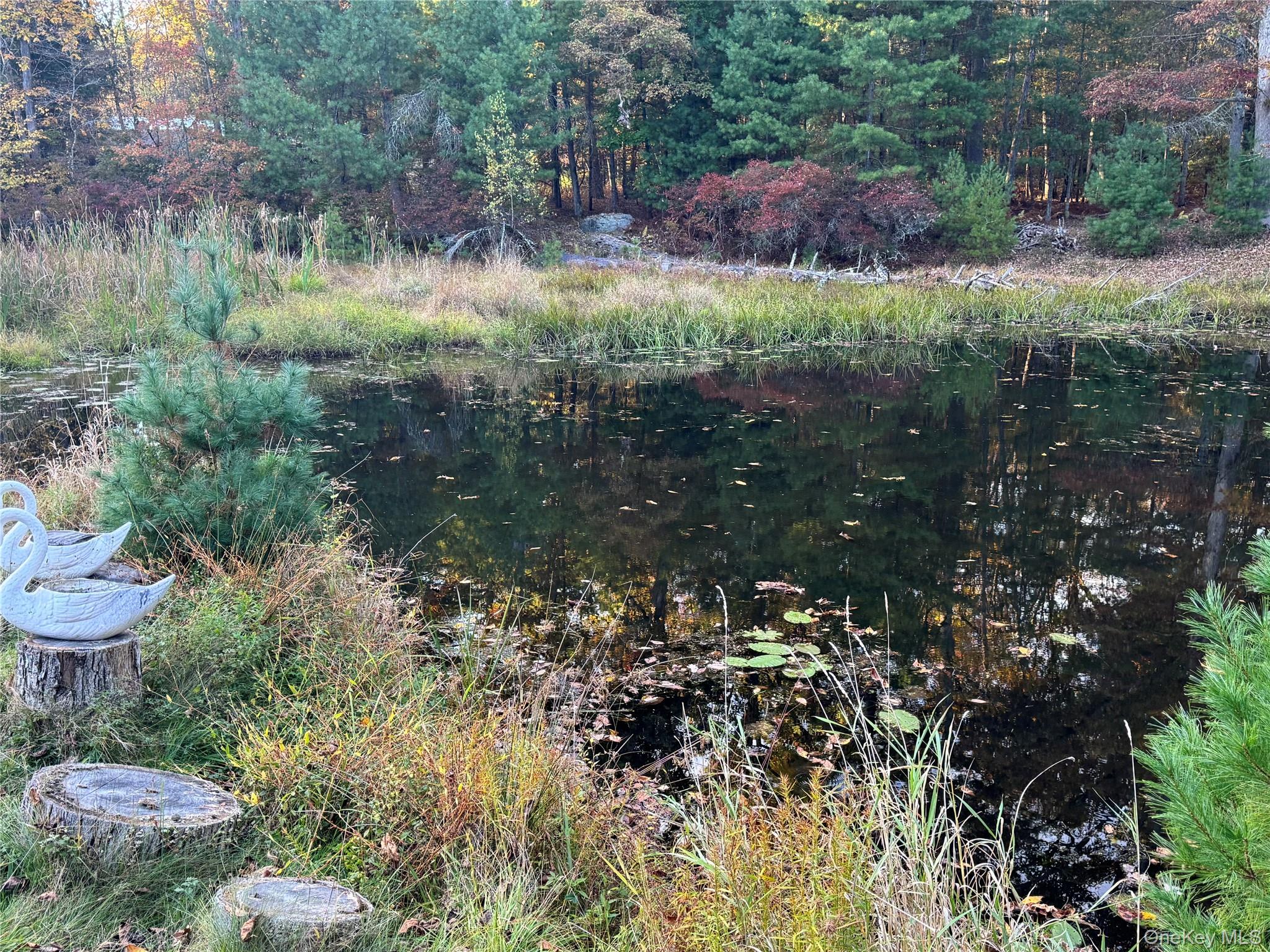 273 Blind Pond Road Narrowsburg, NY 12764 - Photo 27 of 29 a view of a lush green forest