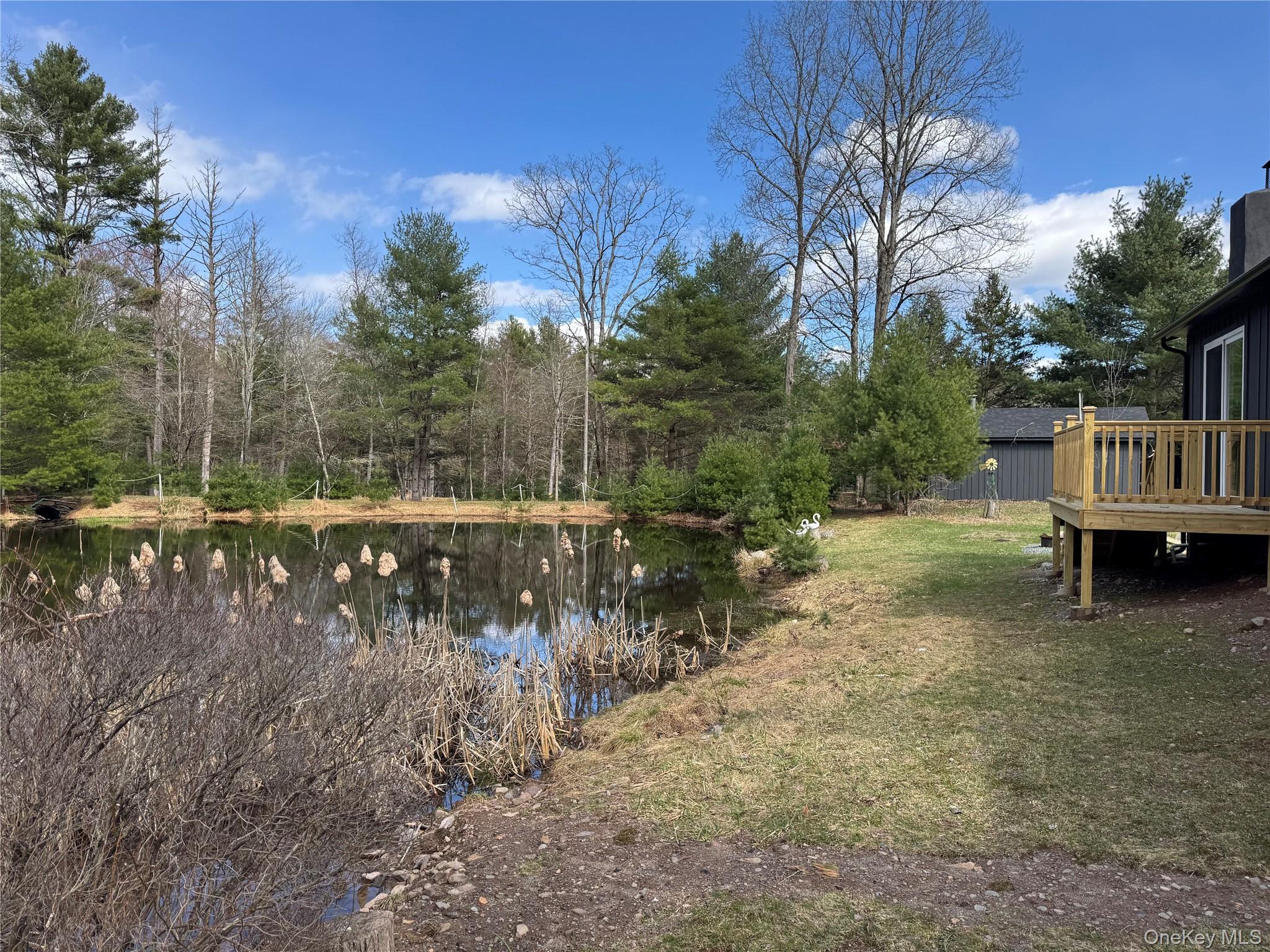 273 Blind Pond Road Narrowsburg, NY 12764 - Photo 5 of 29 a view of a lake view