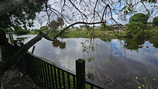 a view of a tree in front of a house