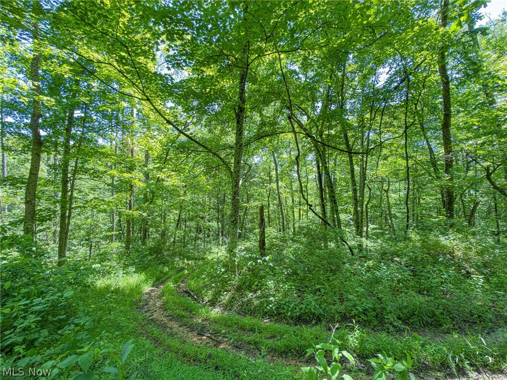 0 Twp Road Marietta, OH 45750 - Photo 32 of 50
